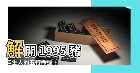 1995年豬五行